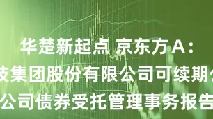 华楚新起点 京东方Ａ: 京东方科技集团股份有限公司可续期公司债券受托管理事务报告（2024年度）