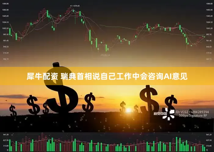 犀牛配资 瑞典首相说自己工作中会咨询AI意见