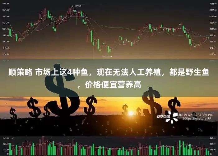 顺策略 市场上这4种鱼，现在无法人工养殖，都是野生鱼，价格便宜营养高